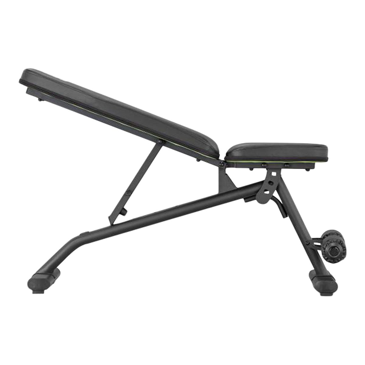 Sport chek bench online press