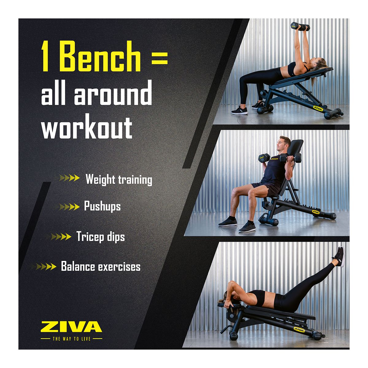 Ziva F-I-D Adjustable Bench