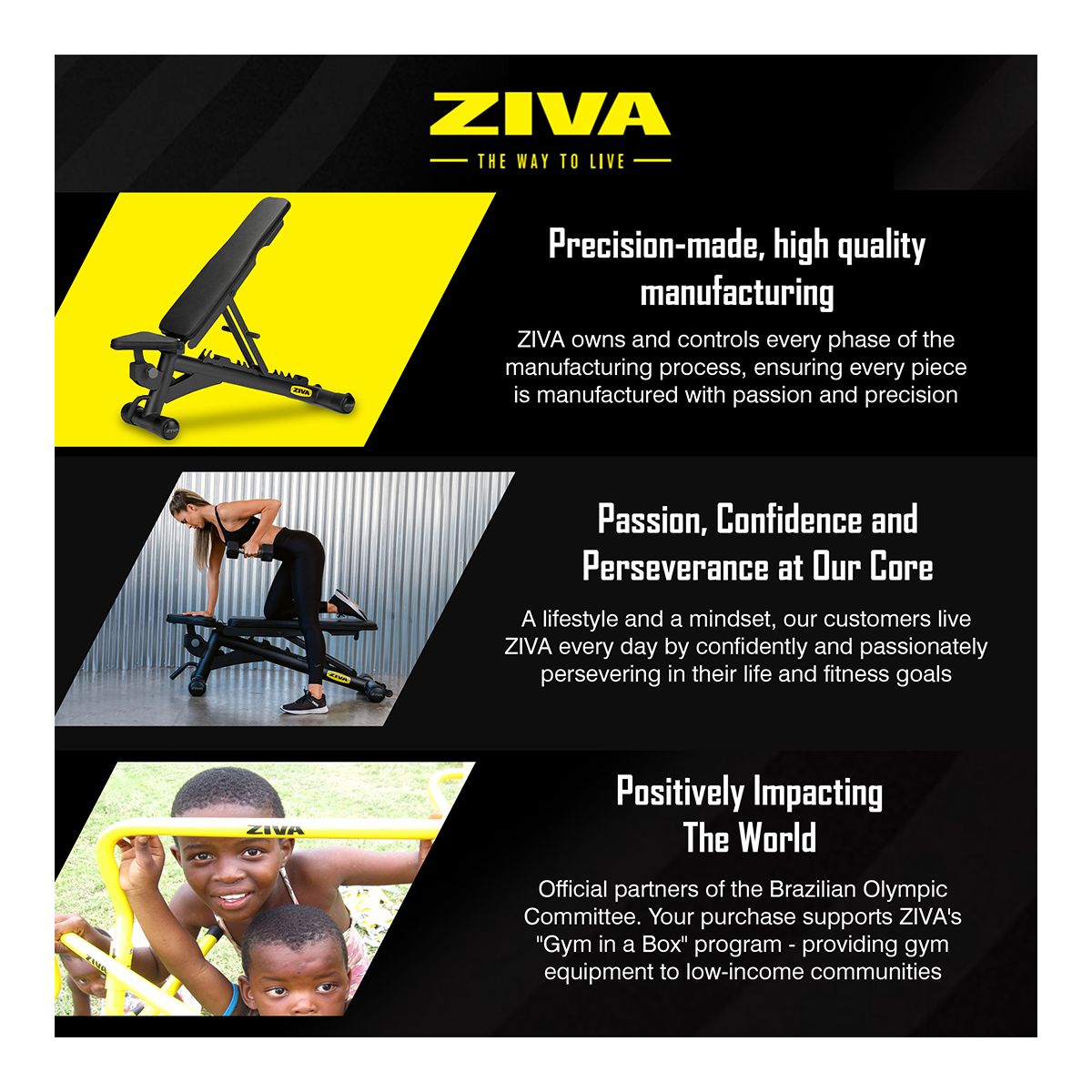 Ziva F-I-D Adjustable Bench
