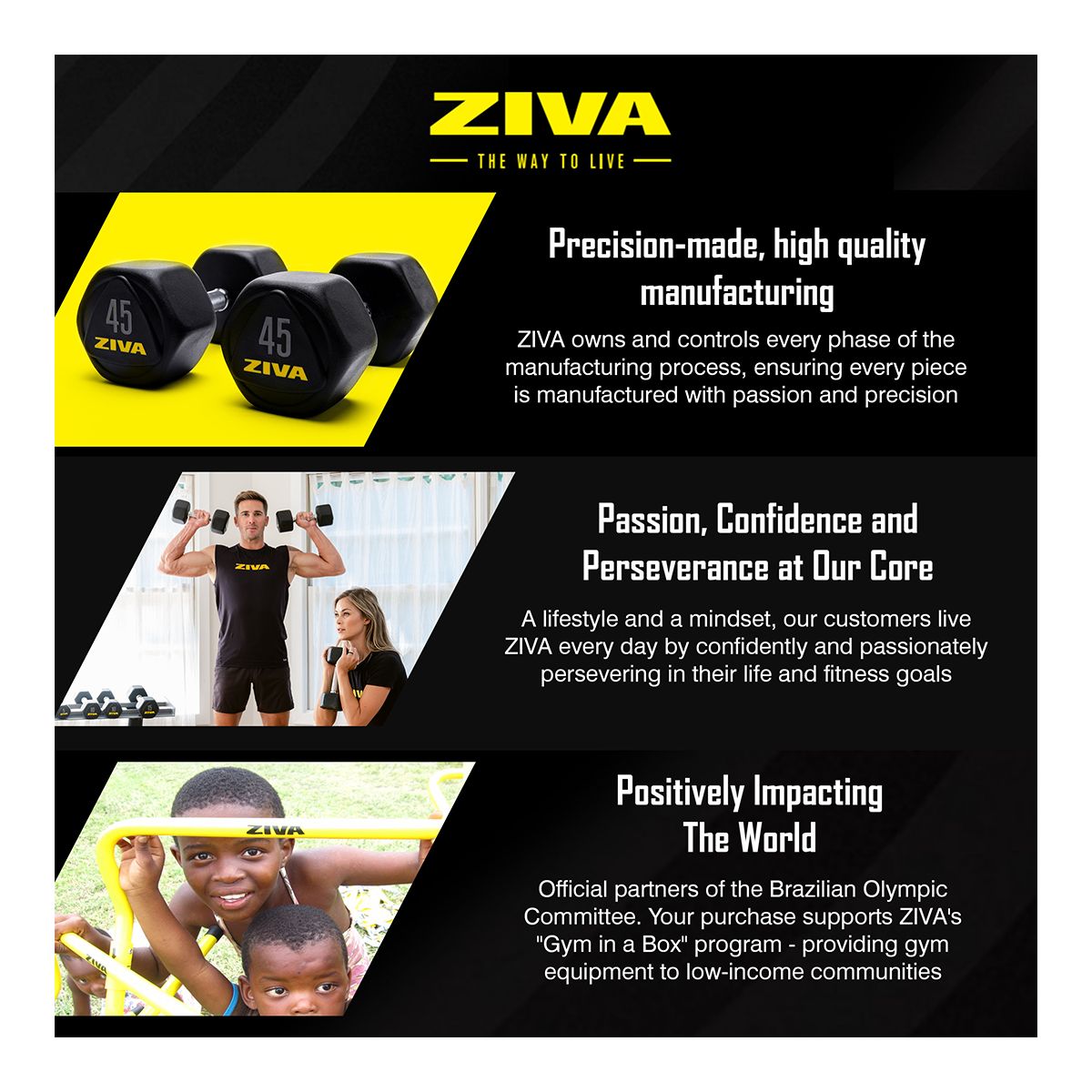 Ziva RPU 15 lb Hexagon Dumbbell Set Composite_or_Mixed