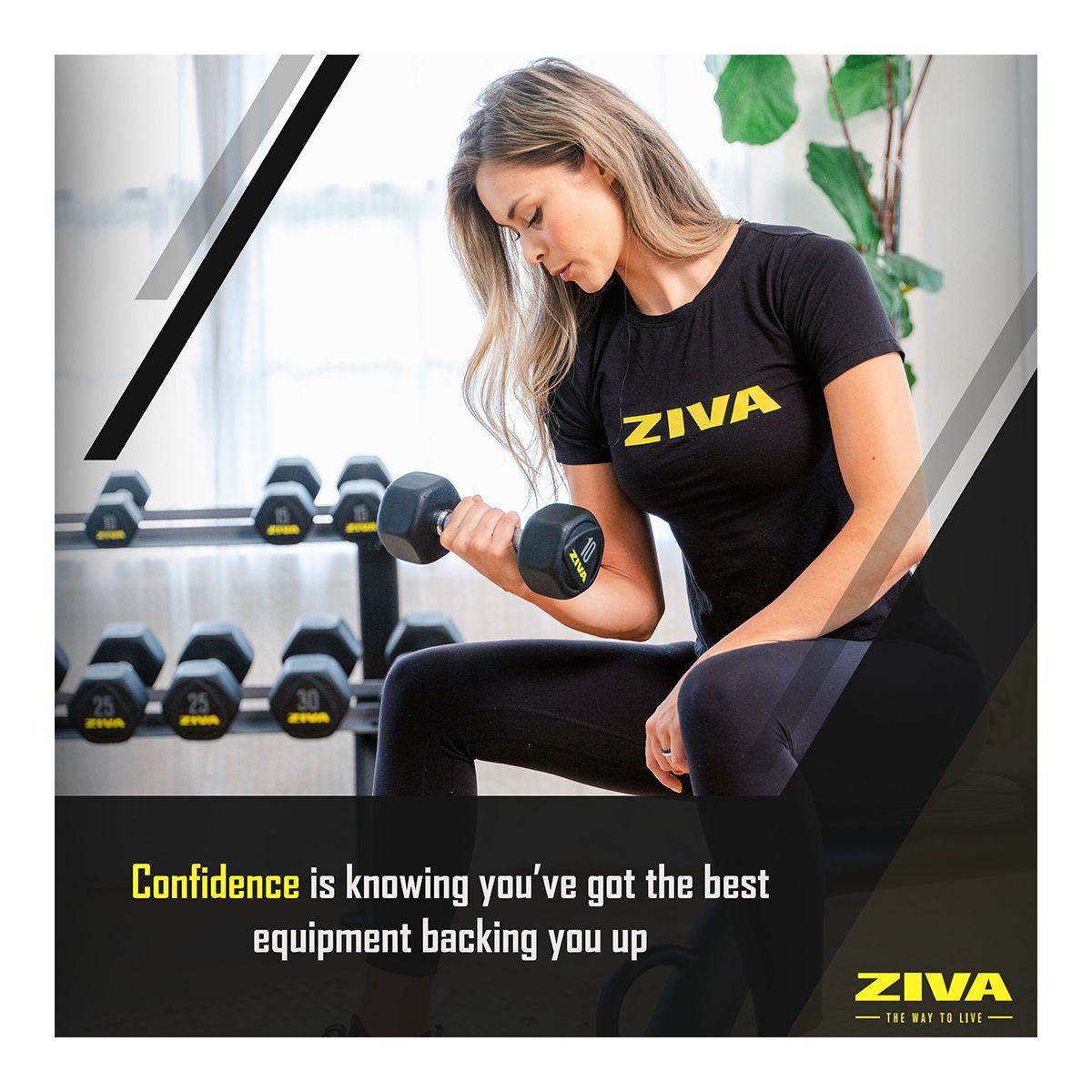 Ziva RPU 20 lb Hexagon Dumbbell Set Composite_or_Mixed