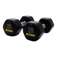 Ziva RPU 20 lb Hexagon Dumbbell Set Front_Angled_Left