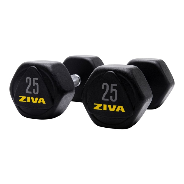 Ziva RPU 25 lb Hexagon Dumbbell Set Front_Angled_Left
