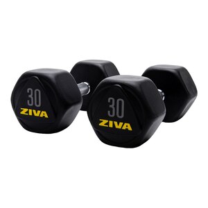 Ziva RPU 30 lb Hexagon Dumbbell Set