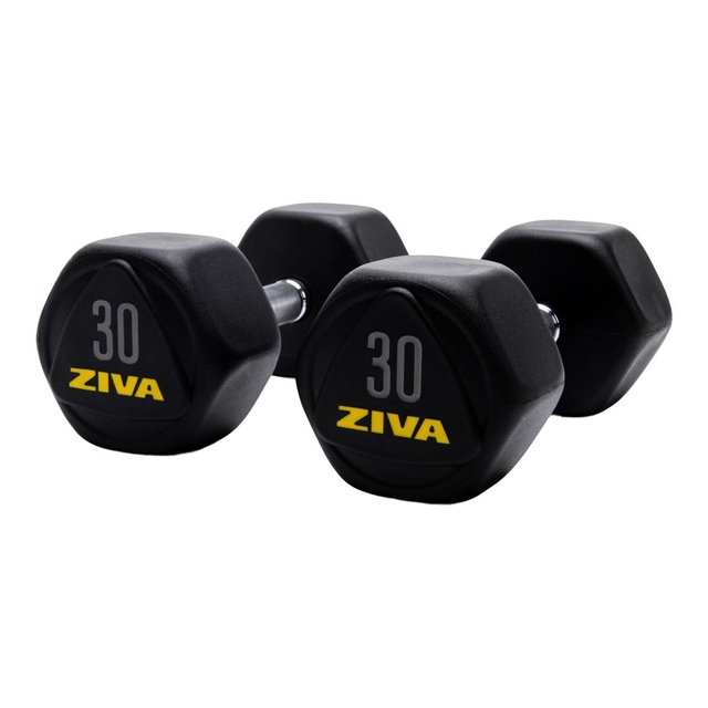Ziva RPU 30 lb Hexagon Dumbbell Set Front_Angled_Left