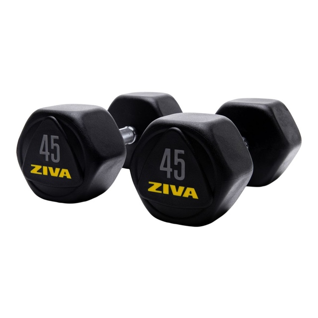 Ziva RPU 45 lb Hexagon Dumbbell Set Front_Angled_Left
