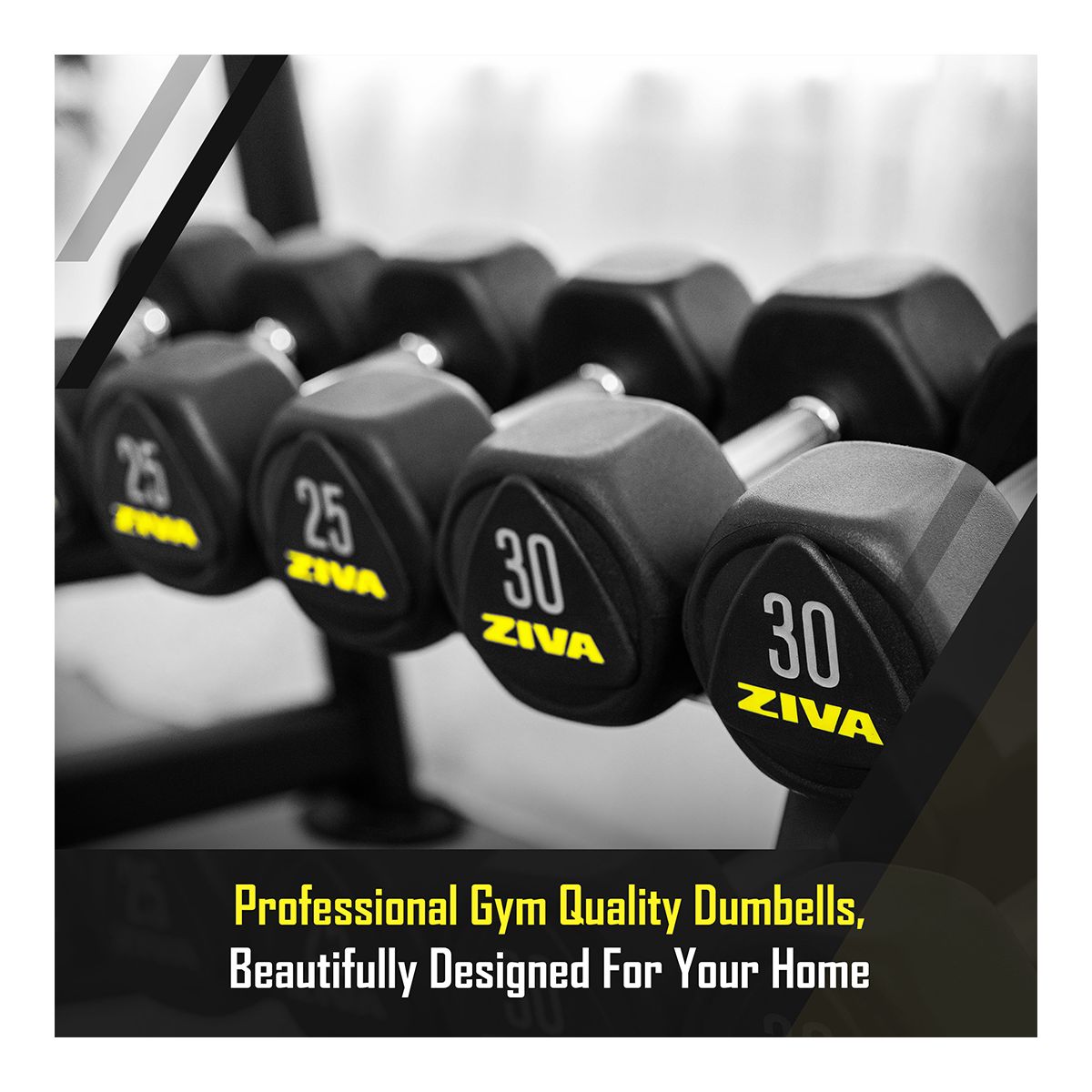 Ziva RPU 50 lb Hexagon Dumbbell Set Front_Angled_Left