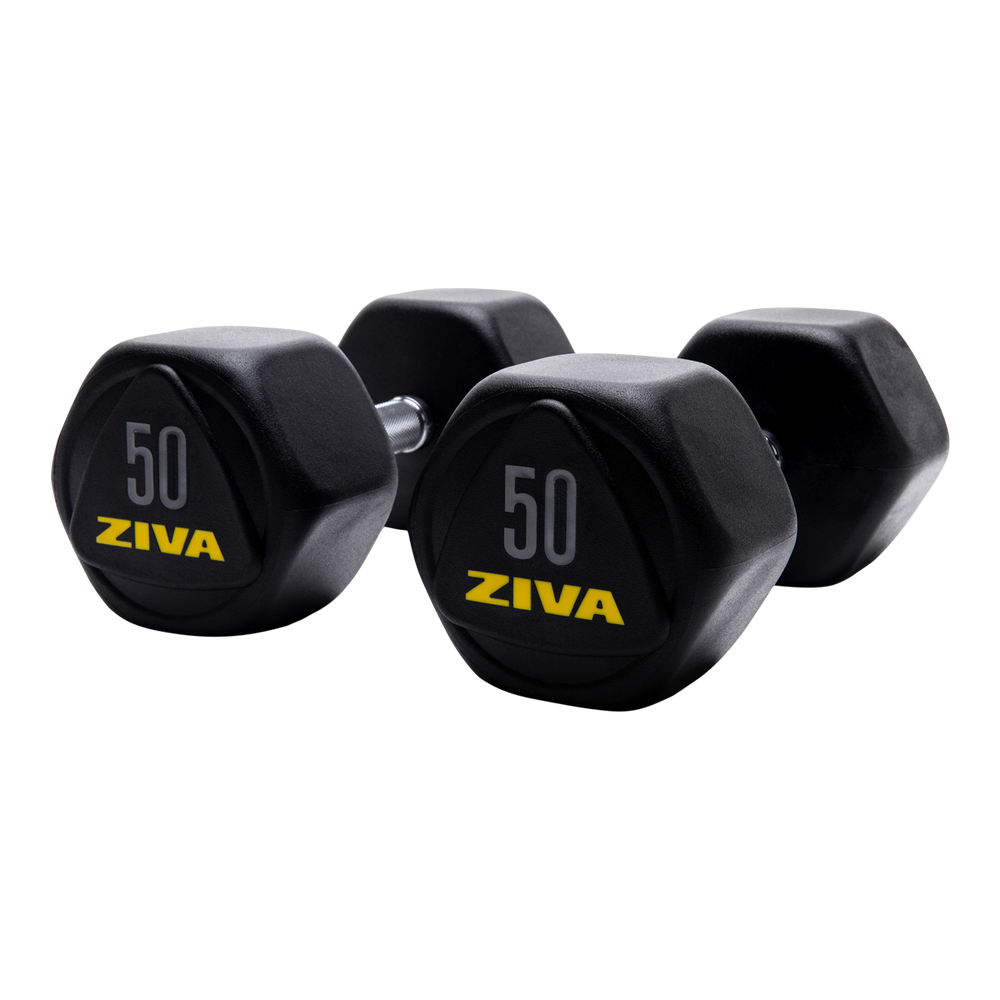 Ziva dumbbells deals