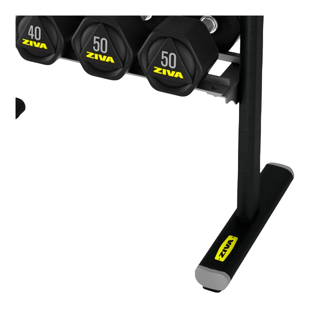 Ziva Tribells And Dumbbells Rack CloseUp