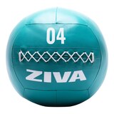 Ziva Chic 4 lb Wall Ball Front_Flat