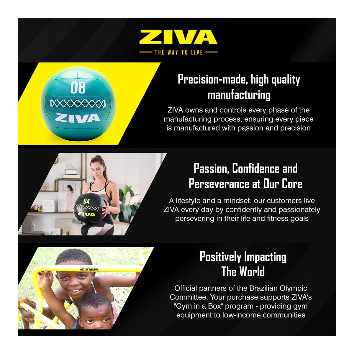 Ziva Chic 4 lb Wall Ball