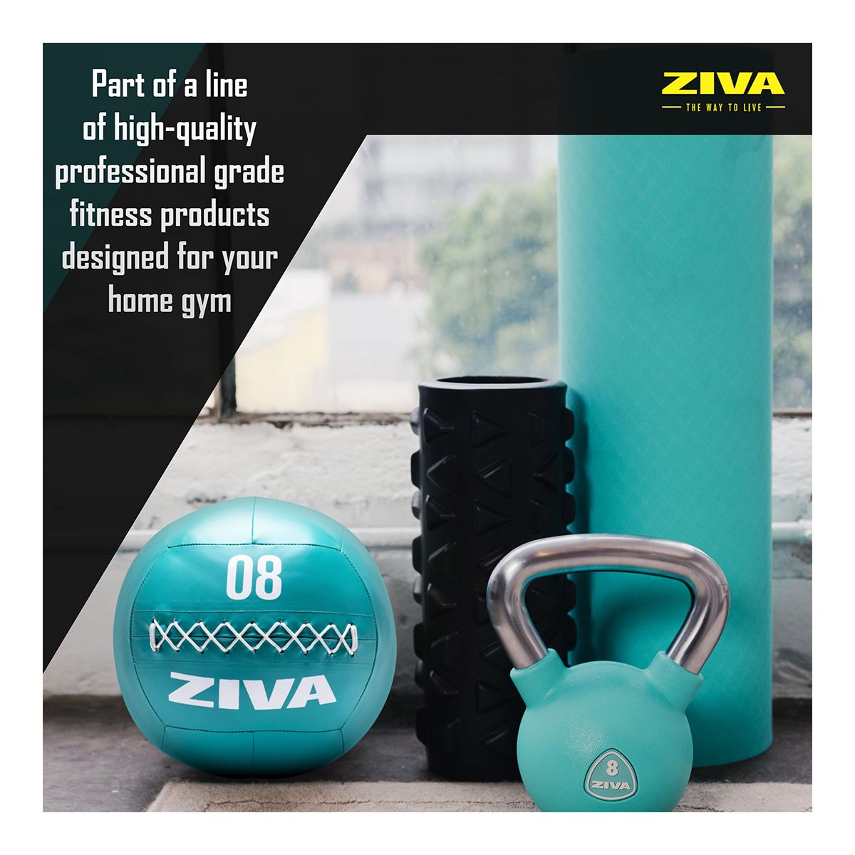 Ziva Chic 4 lb Wall Ball