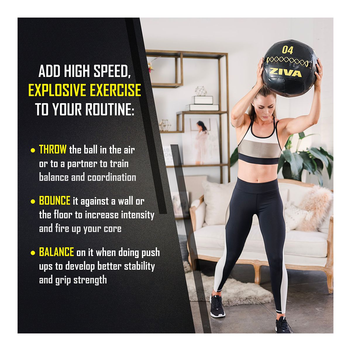 Ziva Chic 6 lb Wall Ball