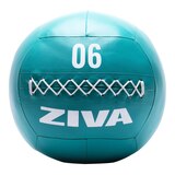 Ziva Chic 6 lb Wall Ball Front_Flat