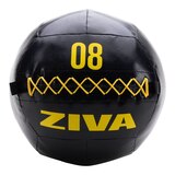 Ziva 8 lb Wall Ball Front_Flat