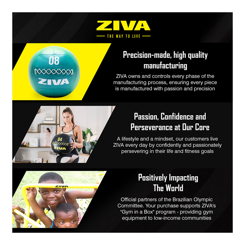 Ziva Chic 8 lb Wall Ball