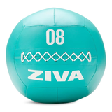 Ziva Chic 8 lb Wall Ball Front_Flat