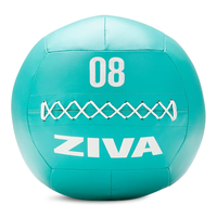Ziva Chic 8 lb Wall Ball Front_Flat