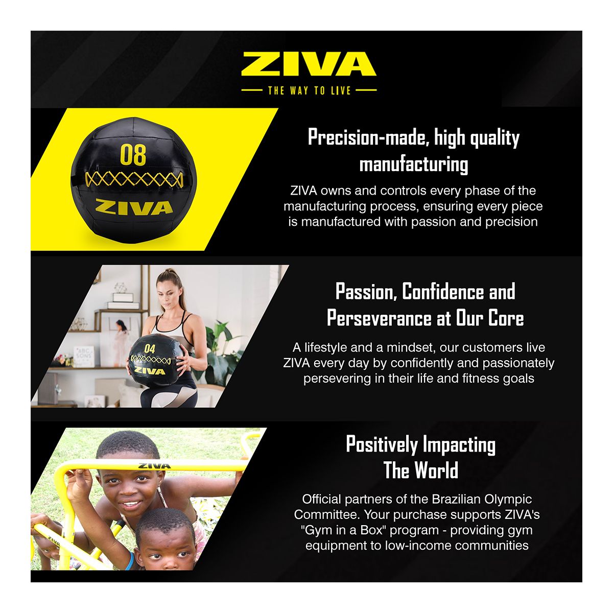 Ziva 16 lb Wall Ball
