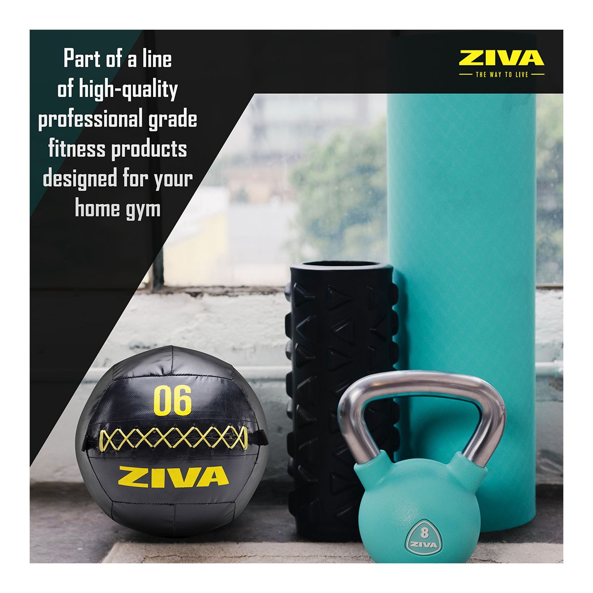 Ziva 16 lb Wall Ball
