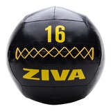 Ziva 16 lb Wall Ball Front_Flat