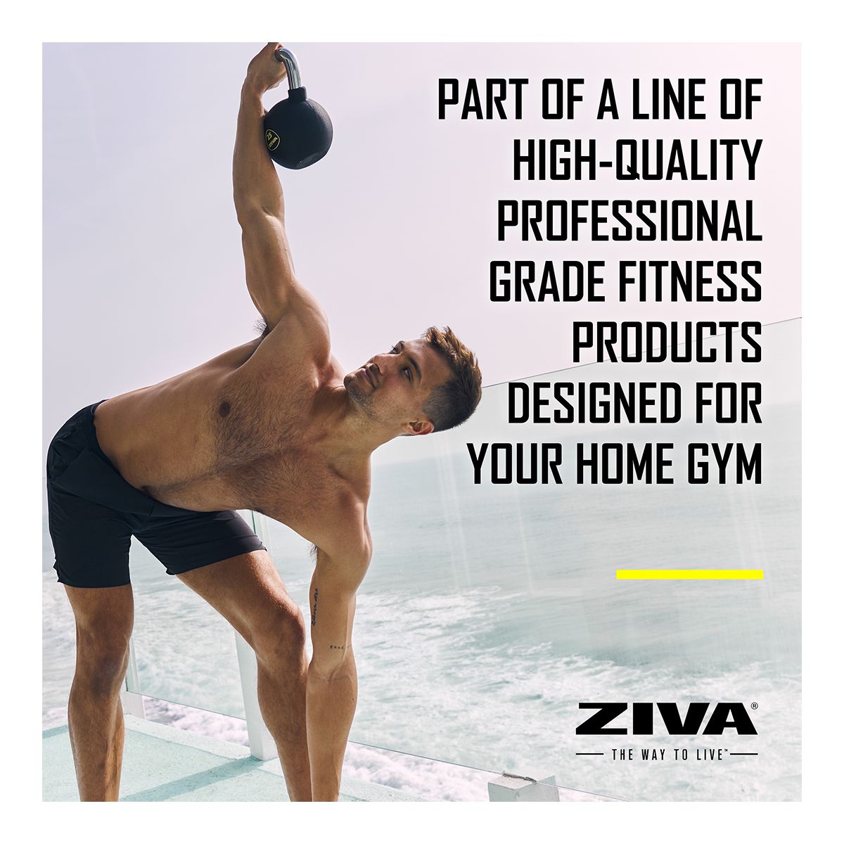 Ziva RPU 40 lb Kettlebell