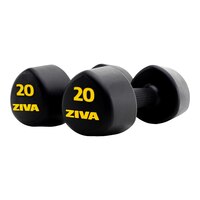 Ziva RPU 20 lb Tribell Dumbbell Set Front_Angled_Right