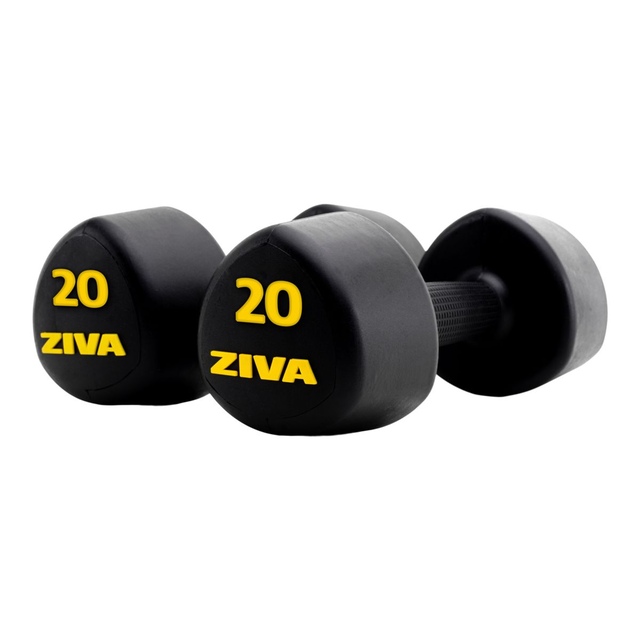 Ziva RPU 20 lb Tribell Dumbbell Set Front_Angled_Right
