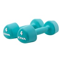 Ziva Chic RPU 4 lb Tribell Dumbbell Set Front_Angled_Right