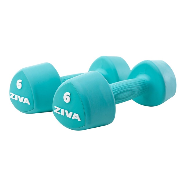 Ziva Chic RPU 6 lb Tribell Dumbbell Set Front_Angled_Right