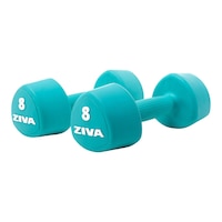 Ziva Chic RPU 8 lb Tribell Dumbbell Set Front_Angled_Right