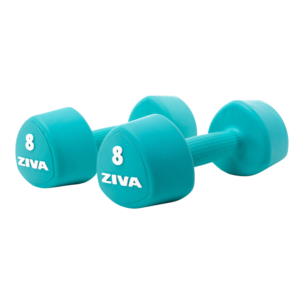 8 lb dumbbell online set