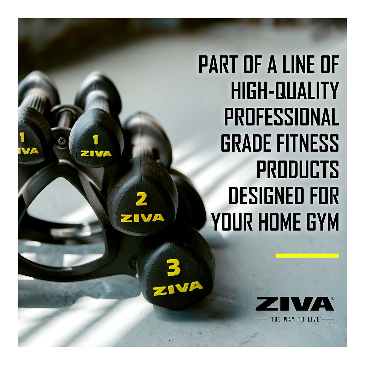 Ziva RPU 10 lb Tribell Dumbbell Set CloseUp