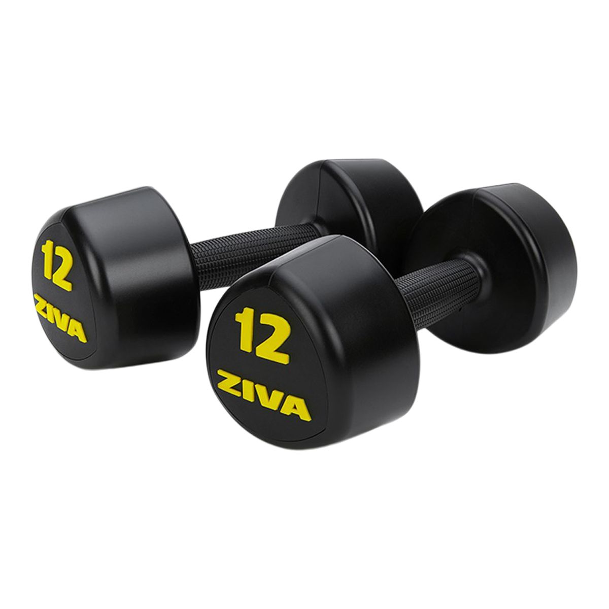 Ziva RPU 12 lb Tribell Dumbbell Set Front_Angled_Right