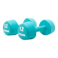 Ziva Chic RPU 12 lb Tribell Dumbbell Set Front_Angled_Right