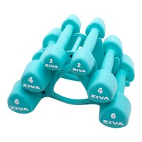 Ziva Chic RPU 24 lb Tribell Dumbbell Set Front_Angled_Left
