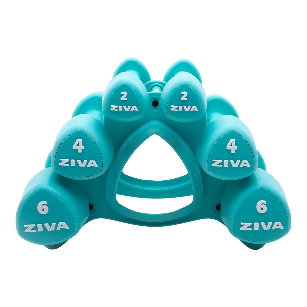 Ziva Chic Wellness Kit Front_Flat