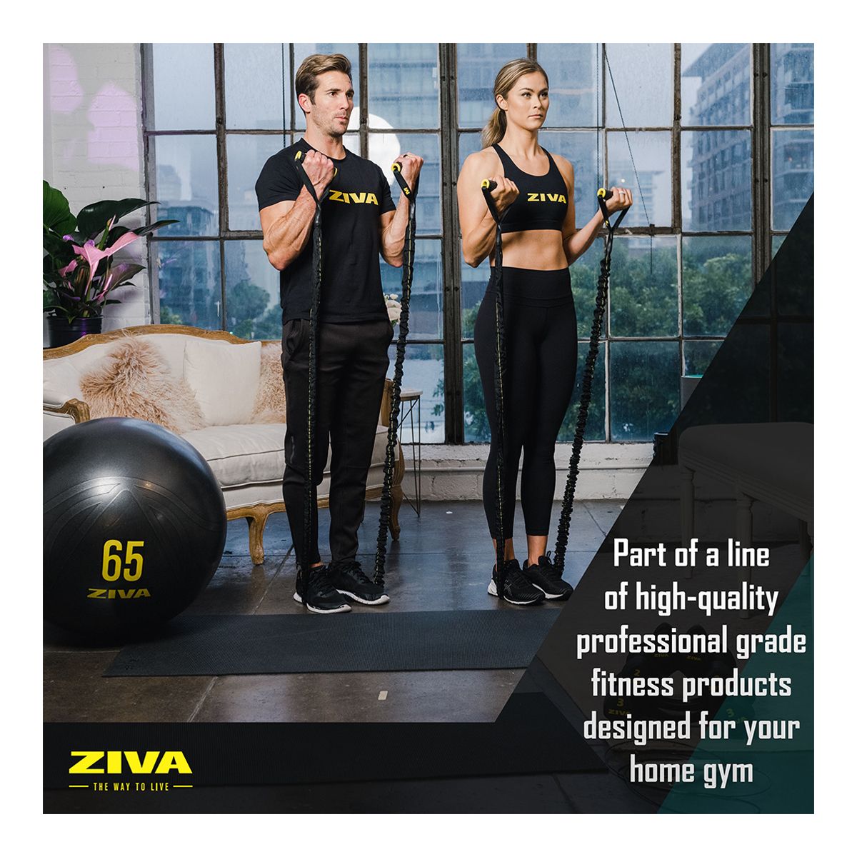 Ziva 55cm Anti-Burst Ball With Hand Pump