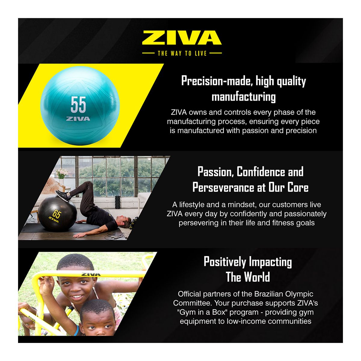 Ziva 55cm Anti-Burst Ball With Hand Pump