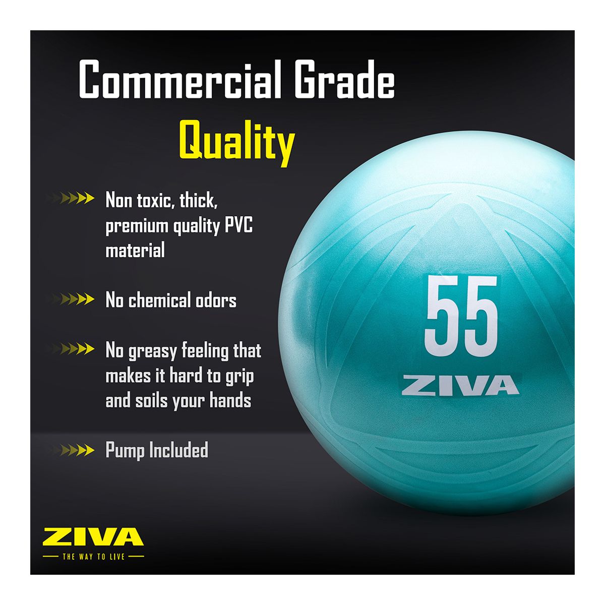 Ziva 65cm Anti-Burst Ball With Hand Pump
