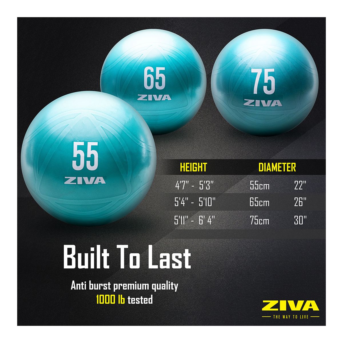Ziva 65cm Anti-Burst Ball With Hand Pump