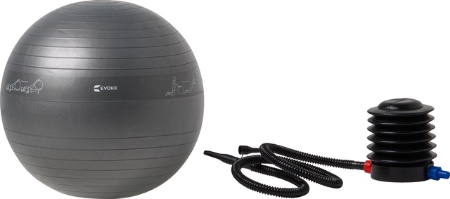 Evoke Exercise Ball 65 cm Composite_or_Mixed
