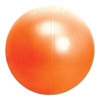 Iron Body Fitness Pro Series 75 cm Fitness Ball Front_Flat