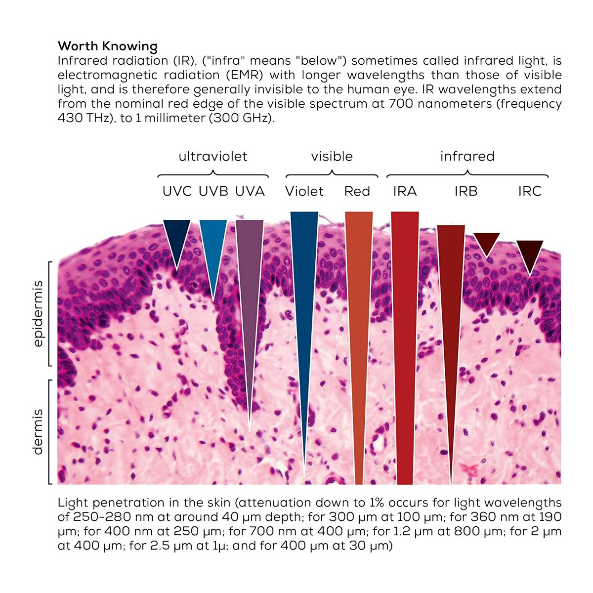 Beurer Infrared Heat Lamp