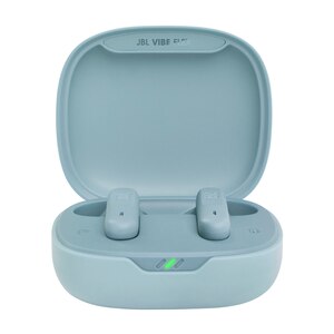 JBL Vibe Flex True Wireless In-Ear Headphones