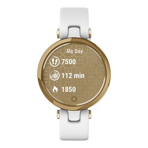 Garmin Lily™ Classic Edition Fitness Watch