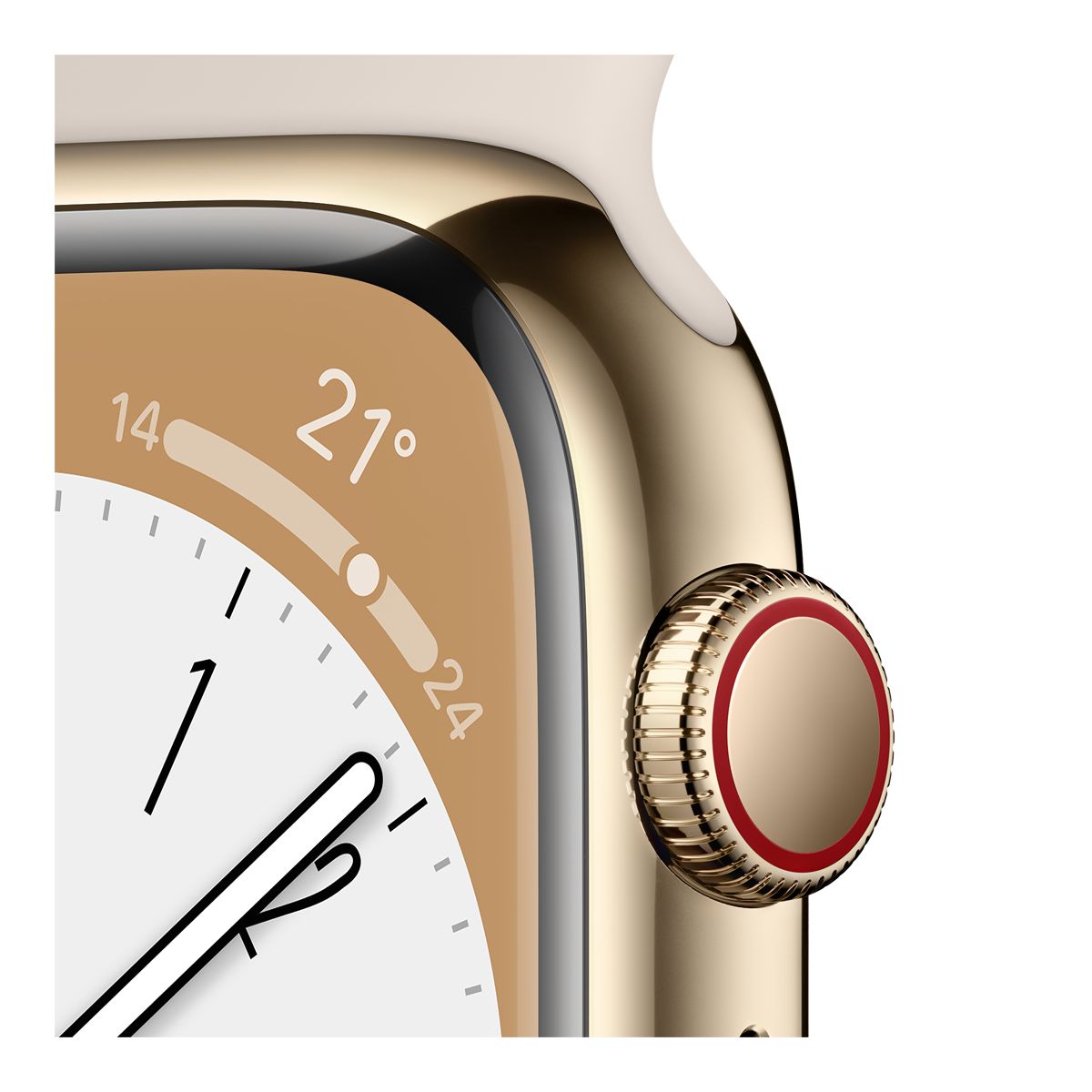 Apple Watch Series 8 (GPS+LTE) 41mm with Sport Band CloseUp