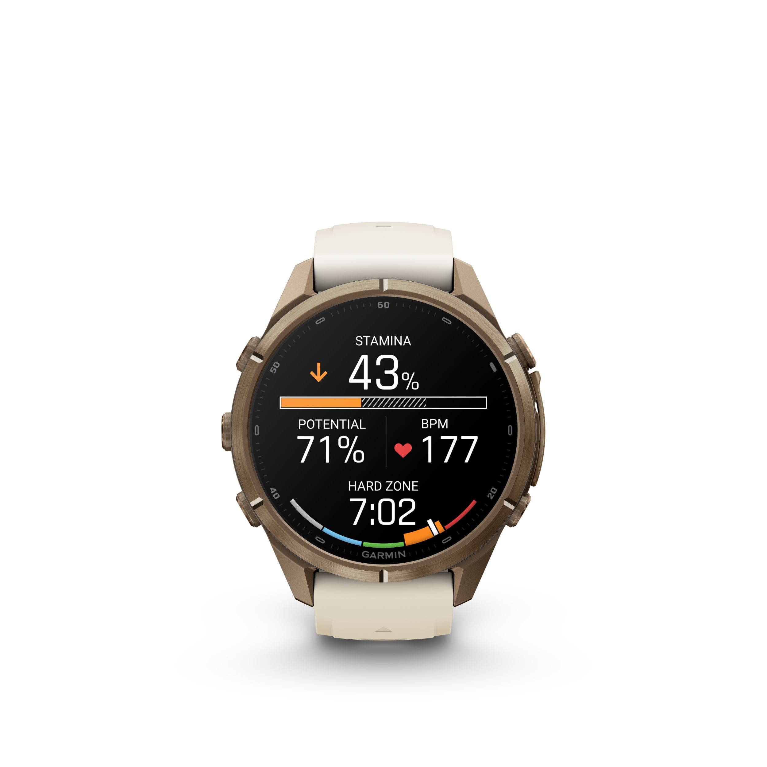 Garmin Fenix® 9 Pro 43 mm Fitness Watch Front_Flat