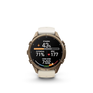 Garmin Fenix® 9 Pro 43 mm Fitness Watch
