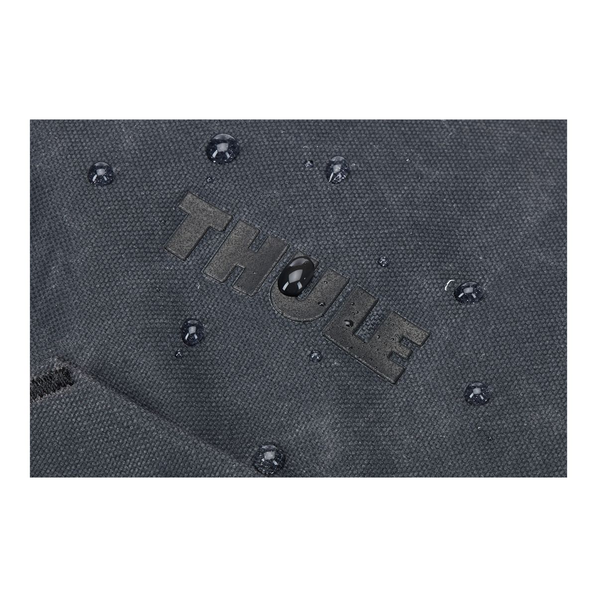 Thule Aion Travel 28L Backpack CloseUp